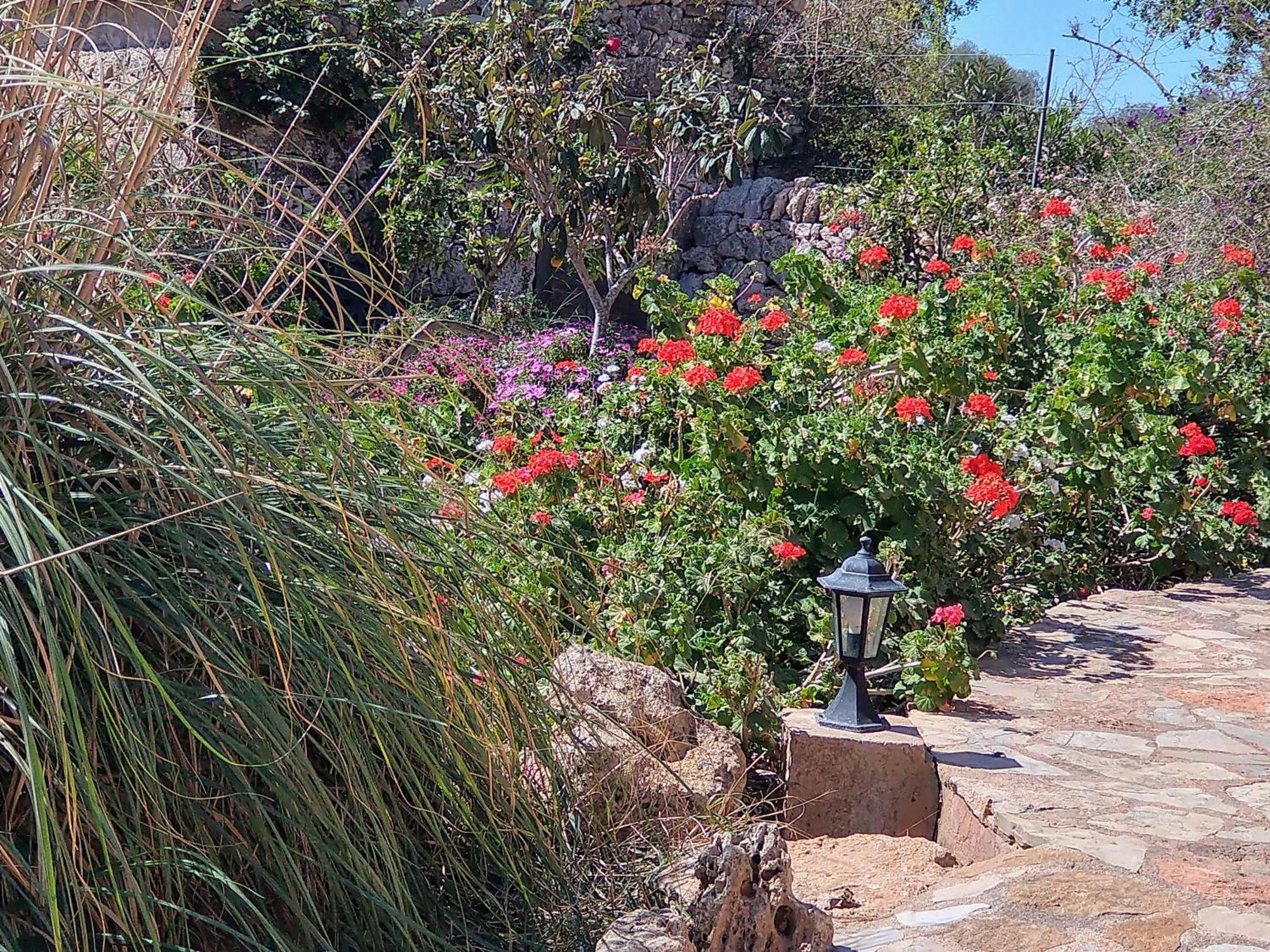 Finca Son Marimon (Adults Only) 산타니 외부 사진