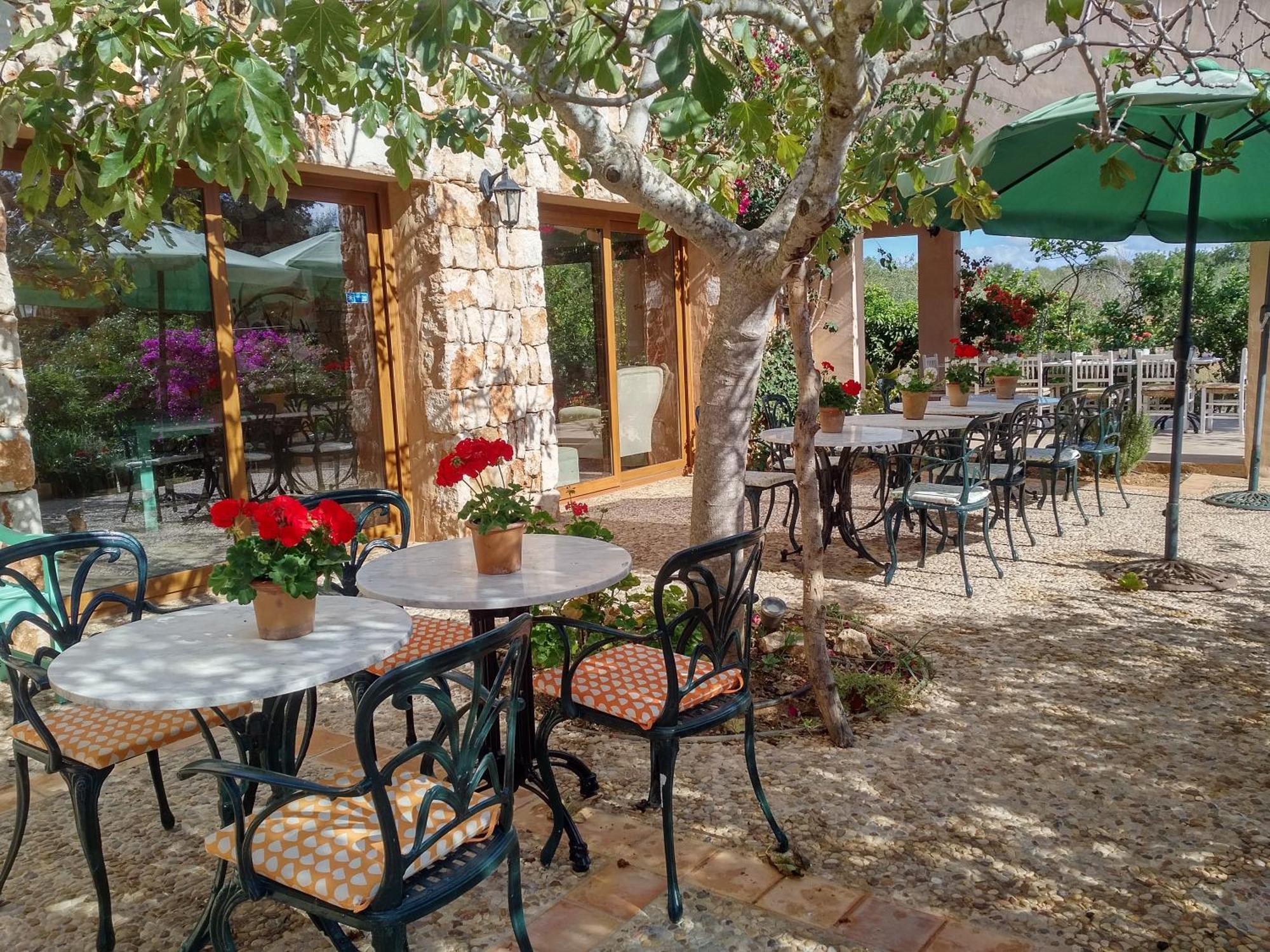 Finca Son Marimon (Adults Only) 산타니 외부 사진