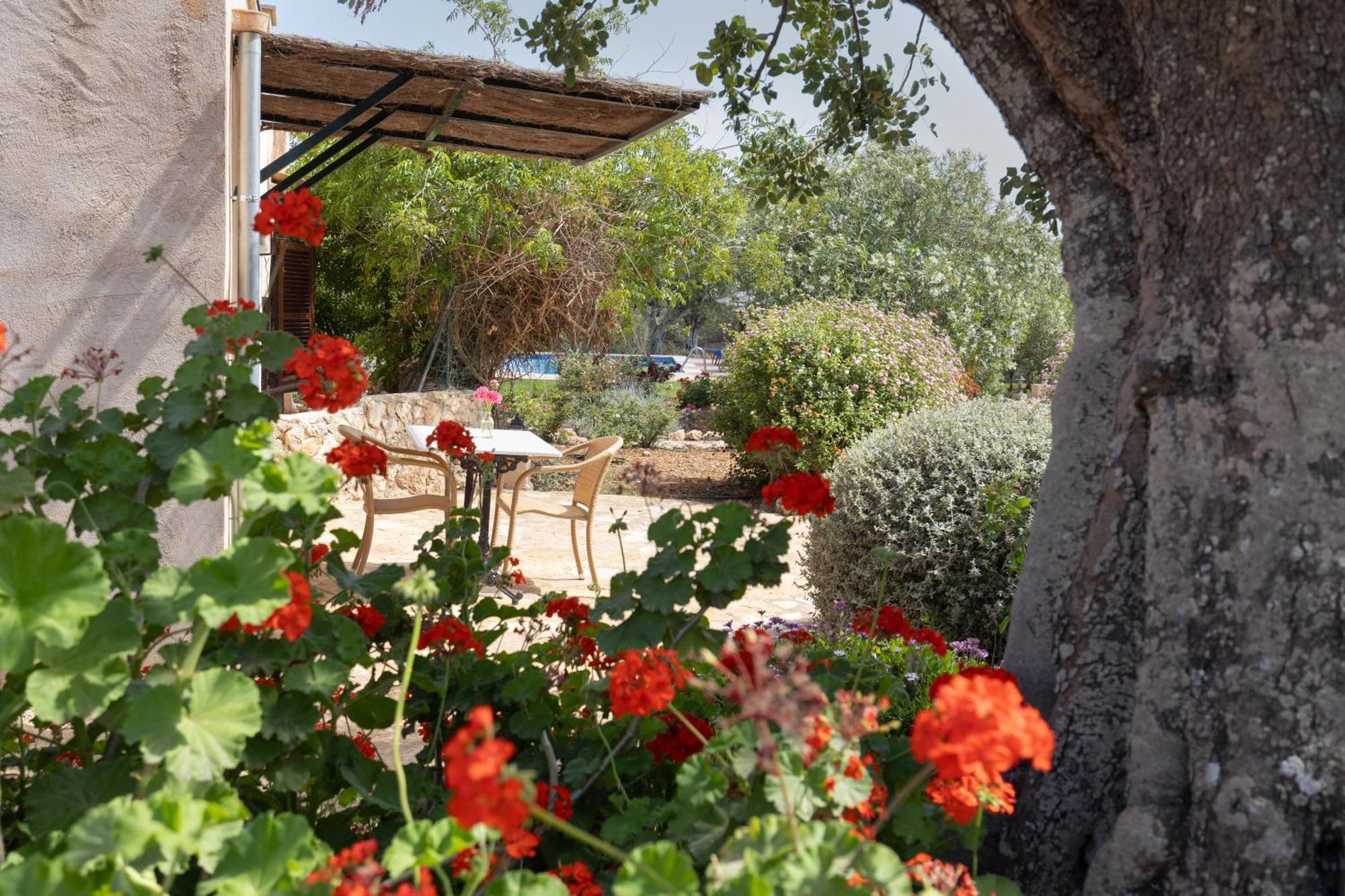 Finca Son Marimon (Adults Only) 산타니 외부 사진